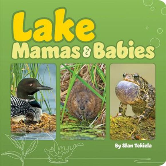 Lake Mamas & Babies -- Stan Tekiela - Picture 1 of 1